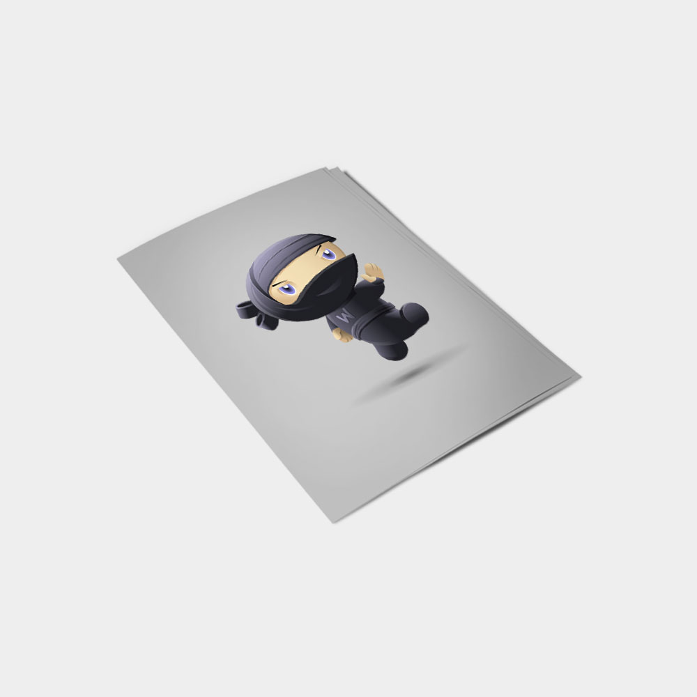 Flying Ninja - Afbeelding 2